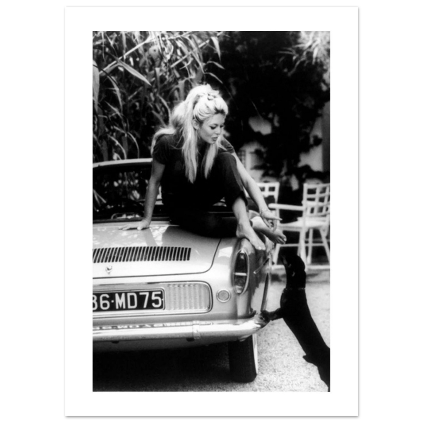 50e174ee-b221-4b1f-84ed-1697e9d78548