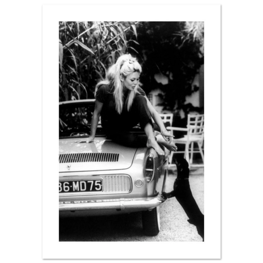 5df8db42-df1a-4dea-9c17-2f6223ddeaf4