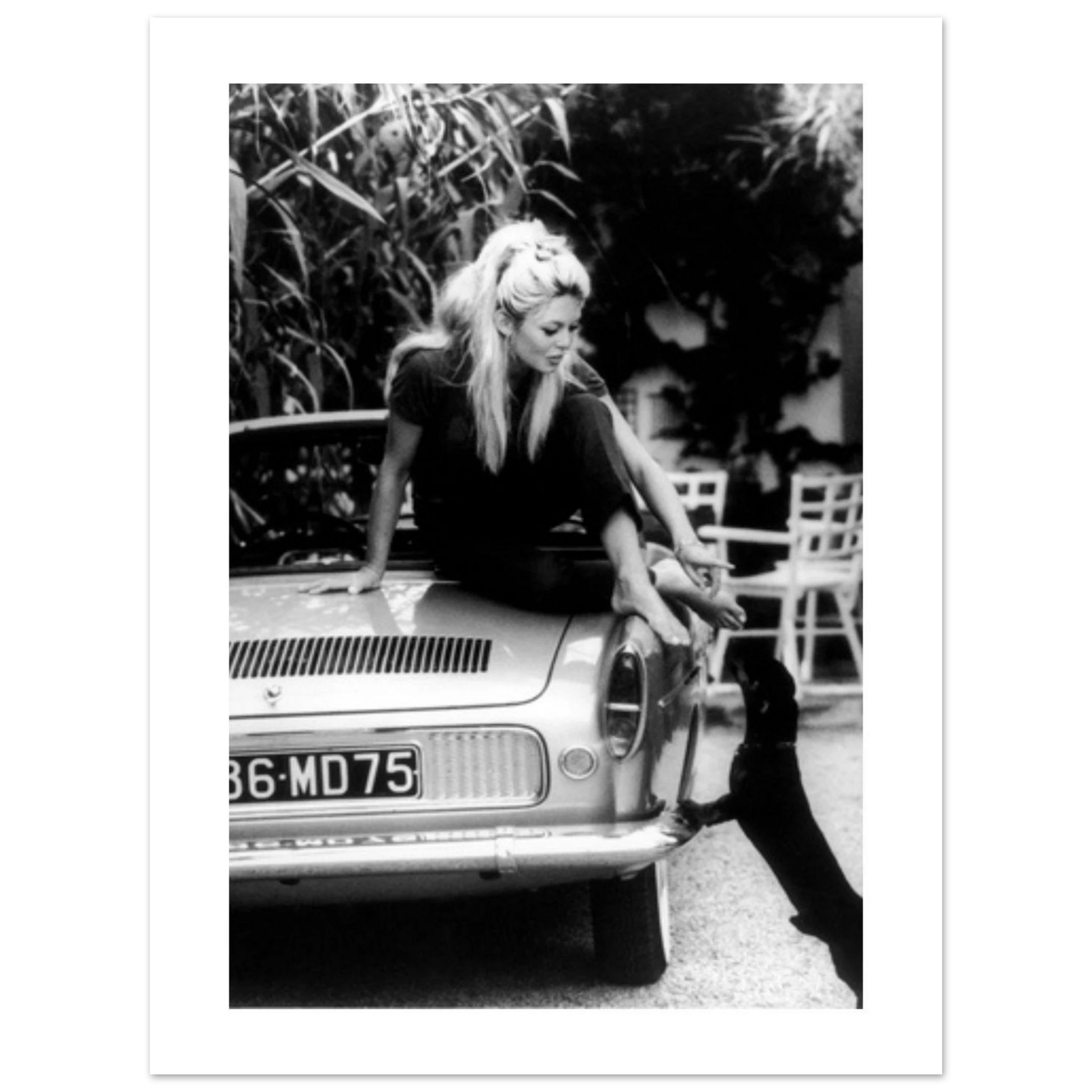 9e26ff4d-25b5-44e7-a51b-4c076adbdc1c